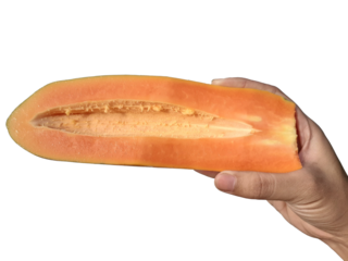 Holding a papaya in hand, isolated on PNG background.