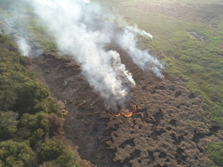 Inc&ecirc;ndio Ambiental