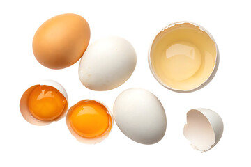 whole and broken chicken eggs collection