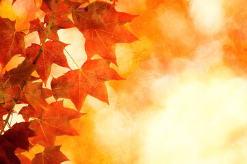 Grunge artistic background with autumn leaves. Perfect vintage fall texture.