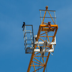 Crane beam with bird on clear blue sky background