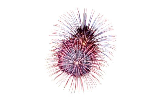 Vibrant fireworks display against a deep black night sky.