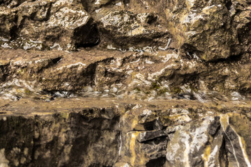 close-up view of rugged rocky surface. intricate brown rock texture. natural patterns of rock formations. abstract natural textured stone