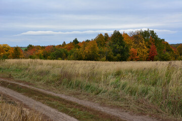 Autumn Landscape with a Dirt Road and Colorful Trees and cloudscape
