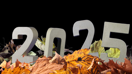 Autumn Leaves Say Final Farewell
A melancholic musical journey through fading memories.
