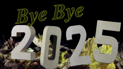 Autumn Leaves Say Final Farewell
A melancholic musical journey through fading memories.
