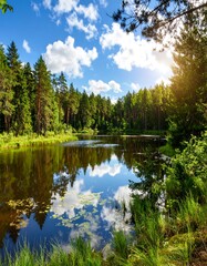 Serene forest lake reflecting a sunny sky