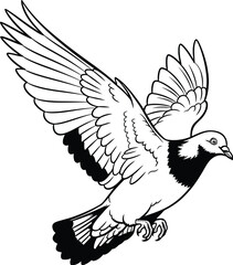 Obraz premium Flying pigeon with outstretched wings on a white background