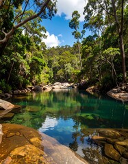 Serene forest pool reflection