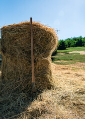 Large round hay bale with a wooden pitchfork leaning against it on a sunny summer day. Rural farming scene with straw, agriculture and countryside background.