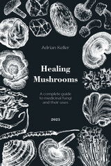 Medicinal mushroom frame template. Alternative medicine book cover design. Hand drawn vector illustrations. Healing fungi sketches. NOT AI generated