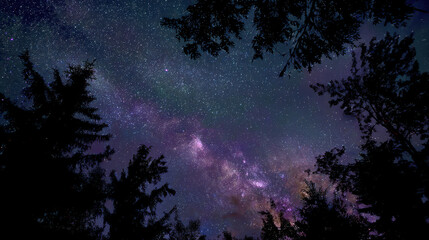 Breathtaking night sky over forest nature photography gigapixel quality tranquil environment wide-angle view cosmic beauty