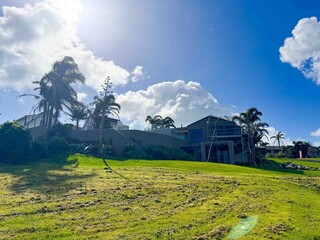 A house with green lawn backyard and tropical trees under blue sky in New Zealand.