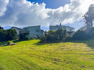 A house with green lawn backyard and tropical trees under blue sky in New Zealand.