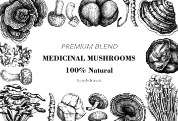 Medicinal mushroom background. Alternative medicine frame design. Hand drawn vector illustration. Healing fungi sketches. NOT AI generated