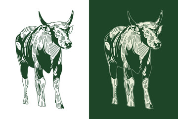 Wild Buffalo Animal Vector Drawing