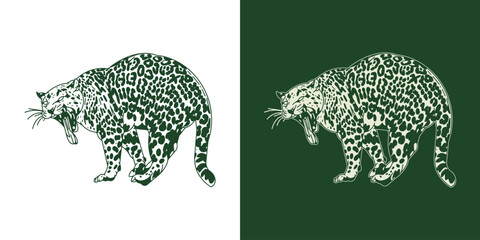 Wild Leopard Vector Illustration © Daru