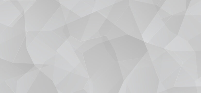 A delicate arrangement of light grey polygons and intersecting lines creates a subtle, modern geometric background with depth and texture, ideal for versatile design projects