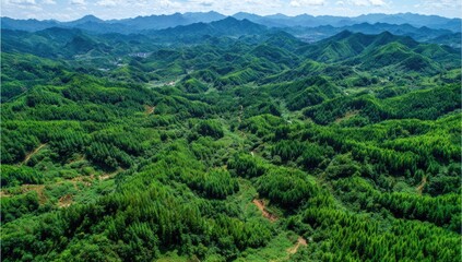 Obraz premium Lush green forests cover rolling hills in a tranquil mountain landscape.