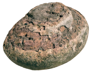Fossil Rock on transparent background