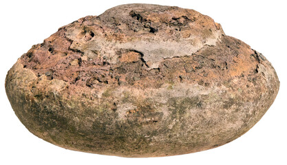 Fossil Rock on transparent background