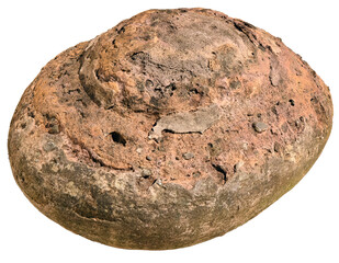 Fossil Rock on transparent background