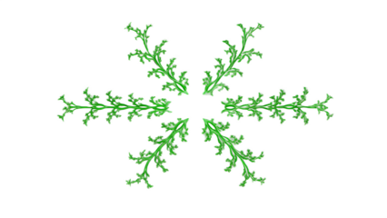 Green fractal fern fronds radial pattern isolated on a transparent background image