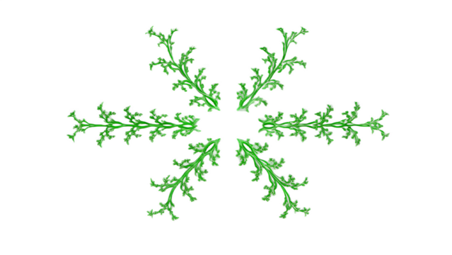 Green fractal fern fronds radial pattern isolated on a transparent background image