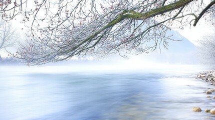 Winter Scene Featuring a Misty River and Frosted Tree Branches by the Waters Edge