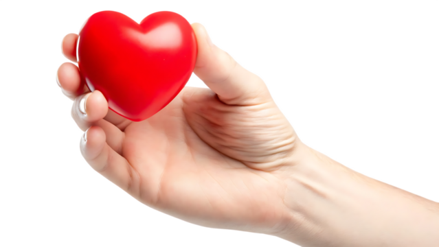 Red heart held in a gentle hand isolated on a transparent background holding love