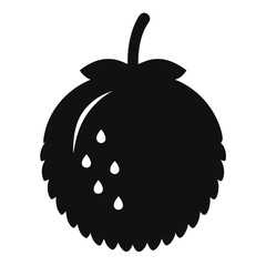 coco de mer fruit silhouette