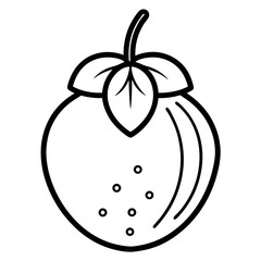 conkerberry fruit on white background