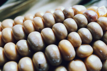 Macro of glossy yellow corn cob kernels.