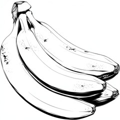 Banana bunch drawing art isolated on white background