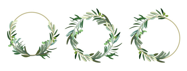 Set of green olive wreaths on a white background. Top view. Vector illustration, hand drawn.