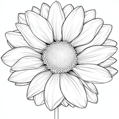 Delicate monochrome daisy sketch showcasing intricate details