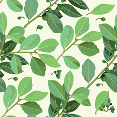 Pattern of laurel leaf. Seamless green branches background. Green leaves on a white.