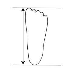 Defining correct shoe size. Foot size. Vector Line flat outline icon illustration isolated on white background.