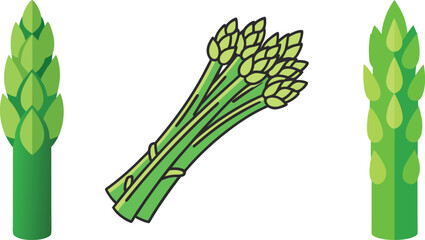 Illustration featuring bundles and individual stalks of fresh and vibrant green asparagus