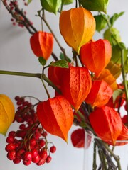 Decorative bouquet of Chinese lantern branches in a glass vase, vibrant orange and green husks glowing against a light background, capturing the essence of autumn charm.