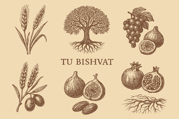 Tu b shvat holiday symbols including tree grapes figs pomegranates olives and wheat in vintage illustration style