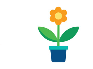 yellow flower in a pot