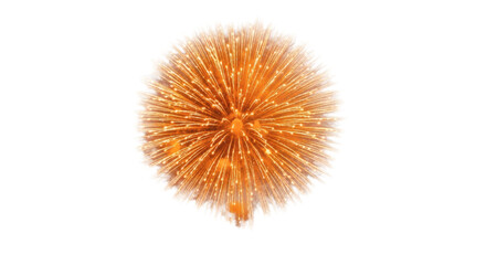 A vibrant burst of golden light emanating from a central point against a stark black background space on transparent background