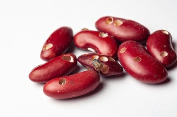 Close-up shows damaged red kidney beans with visible holes indicating pest infestation, isolated on white.