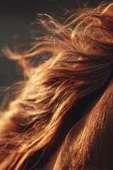 Macro Shot of Chestnut Horse's Mane in Golden Hour Light
