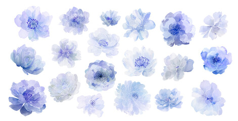Set of light blue vector watercolor flowers in a casual artistic style, roses, peonies, asters, anemones, delicate floral clip art for creative projects, cards and wedding designs.