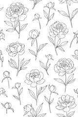 peonies and buds pattern