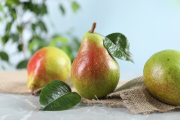 Fresh ripe pears on light grey marble table and green leaves outdoors, closeup
