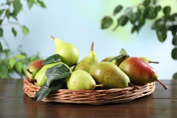 Fresh ripe pears on wooden table and green leaves outdoors, closeup