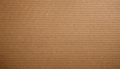 Raw Kraft Board Material Texture